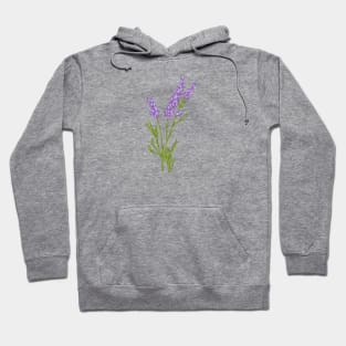 Lavender Botanical Hoodie